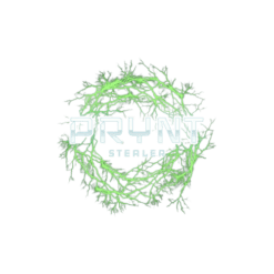 PRYNT STEALER | FUD CRYPTO STEALER | STEAL PASSWORD & COOKIES